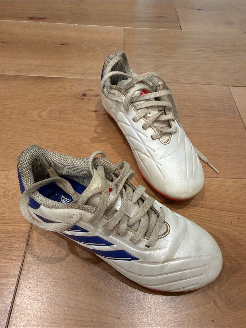 Adidas Copa Pure 2 soccer cleats